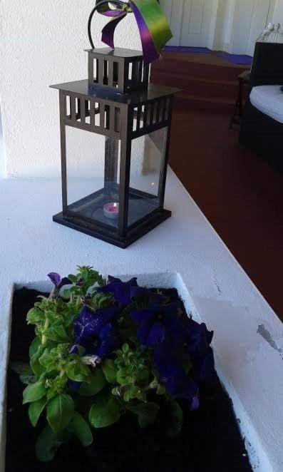 Tapada Da Rabela - Reserva Natural Marvão Esterno foto